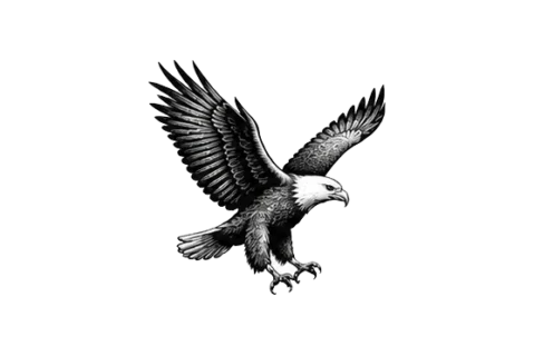 Aquila pescatrice africana nel Parco Nazionale del Tarangire durante un safari fotografico in Tanzania