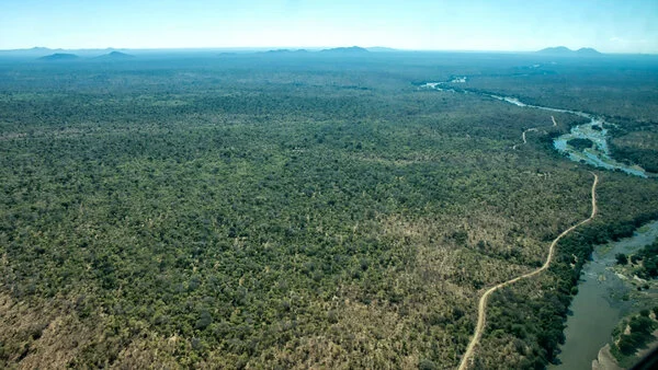 Vista del parco Ruaha appena prima di atterrare nel nostro safari Fly-incon il fiume Ruaha e il parco esteso fino a perdita d'occhio