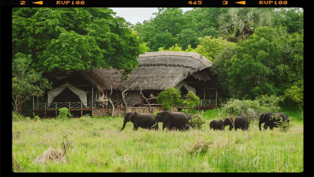 Katavi Wildlife Camp. Vista dell'area davanti al family room proposto da Africa Photography per il suo safari fly-indi 7 giorni