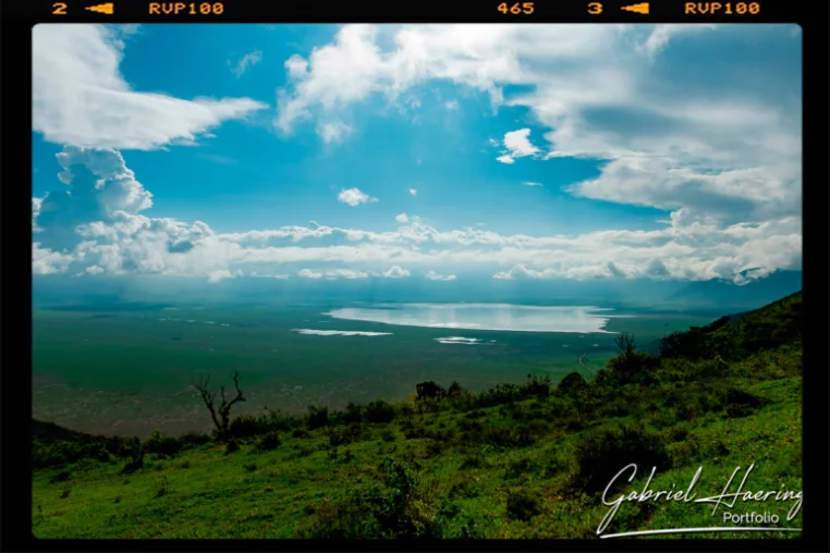 Il cratere del Ngorongoro durante la stagione delle nascite della grande migrazione si tinge di verde con cieli azzurri e nuvole che lo vestono. Visione bellissima della Tanzania