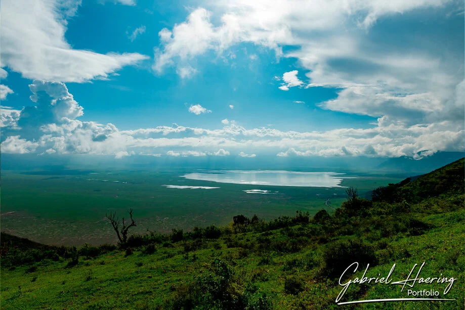 Paesaggio della stagione verde nel cratere di Ngorongoro durante un safari fotografico nella Tanzania settentrionale