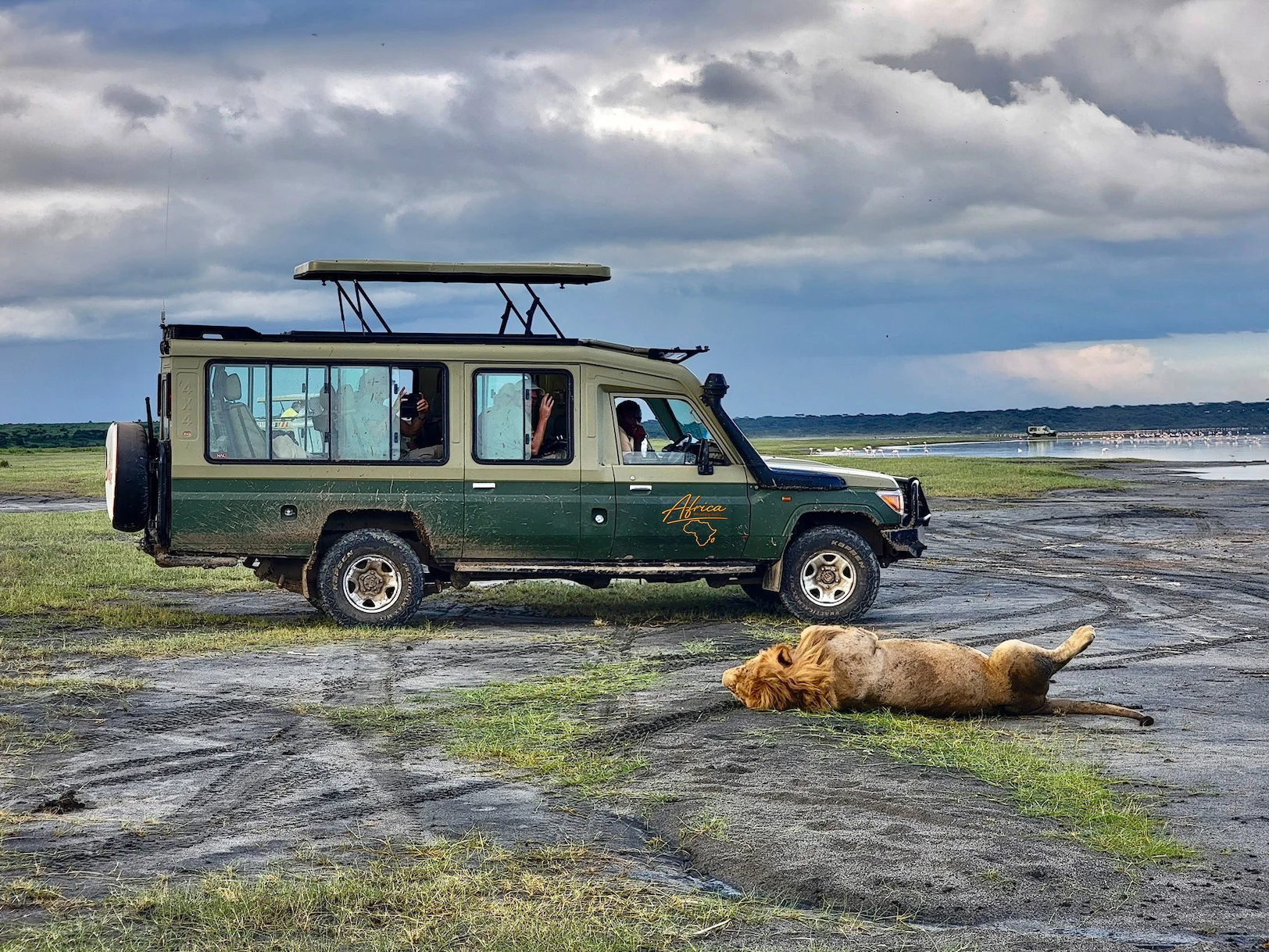 Il landcruiser esteso utilizzato durante un safari fotografico in Tanzania per la visita del cratere del Ngorongoro