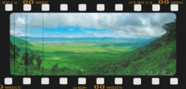 Safari fotografico in Tanzania nella stagione verde tra Tarangire, Ngorongoro, Ndutu e Serengeti