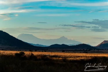 Paesaggio aperto del Mkomazi National Park con savana secca e montagne lontane