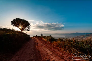 Strada panoramica verso il Cratere di Ngorongoro nella luce calda della Tanzania settentrionale