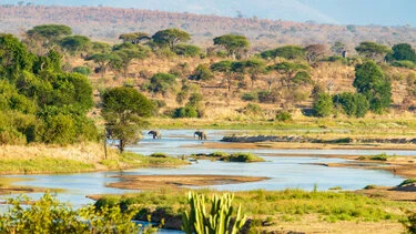 Paesaggio del fiume Great Ruaha con savana e colline nel Parco Nazionale di Ruaha