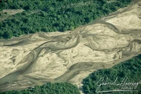 Vista aerea del paesaggio selvaggio del Parco Nazionale di Nyerere con canali e vegetazione