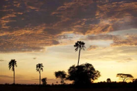 Tramonto nelle pianure selvagge del Parco Nazionale di Katavi durante un safari fotografico in Tanzania