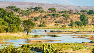 Paesaggio del Parco Nazionale di Ruaha con il fiume Great Ruaha, savana e colline sullo sfondo