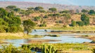 Great Ruaha River landscape in Ruaha National Park, Tanzania