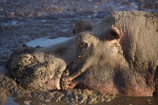 Beautiful lanscape can be observed in Katavi National Park during a private photographic safari