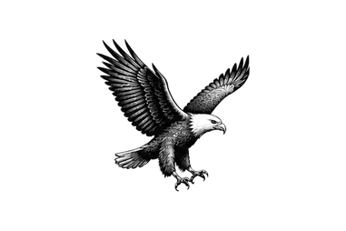 African fish eagle in the Central Serengeti during a photographic safari in Tanzania