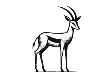 Gazelle in the Central Serengeti during a photographic safari in Tanzania