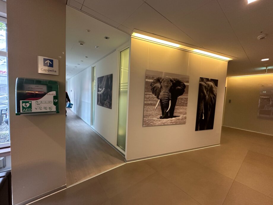 Wildlife photography exhibition by Gabriel Haering in a gallery space