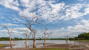 Beautiful lanscape can be observed in Nyerere National Park during a private photographic safari