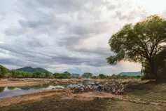 Ospiti lungo il Great Ruaha River durante un safari fotografico nel Parco Nazionale di Ruaha