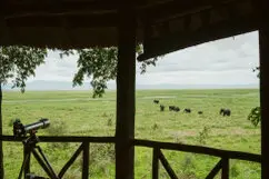 View from Katavi Wildlife Camp veranda across open plains with buffaloes in the distance