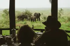 Safari guests watching elephants from Katavi Wildlife Camp during a photographic safari in Tanzania