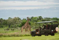 Visit this unique Tanzania National Park to enjoy an incredible Photographic Safari