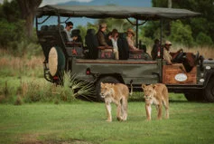 Visit this unique Tanzania National Park to enjoy an incredible Photographic Safari