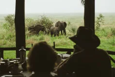 Visit this unique Tanzania National Park to enjoy an incredible Photographic Safari