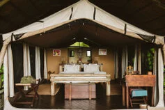 Visit this unique Tanzania National Park to enjoy an incredible Photographic Safari