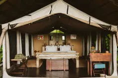 Visit this unique Tanzania National Park to enjoy an incredible Photographic Safari