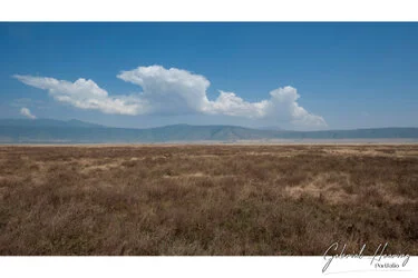 Ngorongoro Crater, Tanzania, photographed during a guided photographic safari.