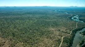 Wide panoramic view of Ruaha National Park showing remote wilderness, dry-season vegetation and open safari landscapes