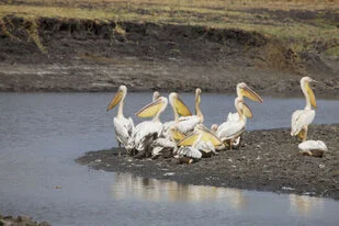 Beautiful lanscape can be observed in Katavi National Park during a private photographic safari