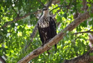 Beautiful lanscape can be observed in Katavi National Park during a private photographic safari