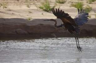 Beautiful lanscape can be observed in Katavi National Park during a private photographic safari