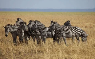 Beautiful lanscape can be observed in Katavi National Park during a private photographic safari