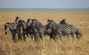 Beautiful lanscape can be observed in Katavi National Park during a private photographic safari