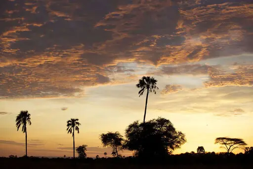 Remote wilderness of Katavi National Park, one of Tanzania