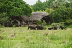 Visit this unique Tanzania National Park to enjoy an incredible Photographic Safari