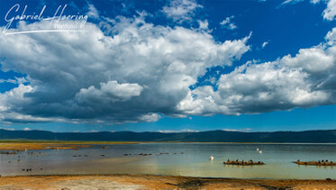 Wildlife photography in Ngorongoro Crater Tanzania