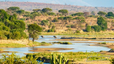 Great Ruaha River landscape in Ruaha National Park, Tanzania